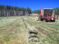 Vickers Ranch Workamping