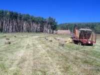 Vickers Ranch Workamping