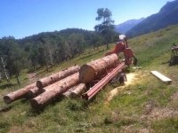 Vickers Ranch Workamping
