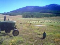 Vickers Ranch Workamping