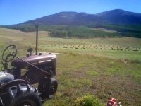 Vickers Ranch Workamping