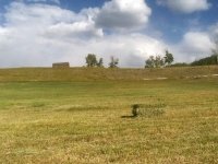Vickers Ranch Workamping