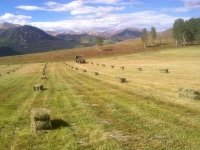 Vickers Ranch Workamping
