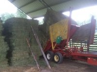 Vickers Ranch Workamping