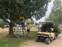KOA Workampers