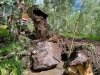 Vickers Ranch Backhoe installing culvert