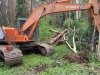Vickers Ranch Logging