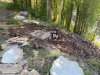 Vickers Ranch Rock Steps