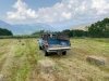 Vickers Ranch Hay
