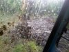 Excavator Lake Restoration Work