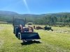 2021 Vickers Hay Season
