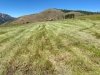 2021 Vickers Hay Season