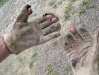 Work gloves destroyed in weeks by workamping at ranch