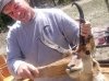 Vickers Ranch Lake City, CO Pronghorn Spring Cleaning
