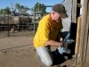 Workamping at Diggin Dust Heritage Hog Farm Cope CO
