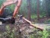 Vickers Ranch Workamping