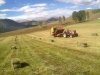 Vickers Ranch Workamping