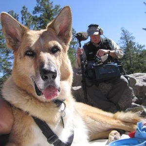 Why We Love Cats and Dogs: Thank You Ellen, Thank You PBS PBS Nature Star Jerry