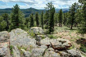 Affordable Colorado Mountain Retreat for sale