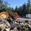 Chimacum Escapees Co-Op Park, a Sunny Surprise in Washington Evergreen Coho SKPs park