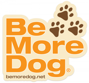 be more dog