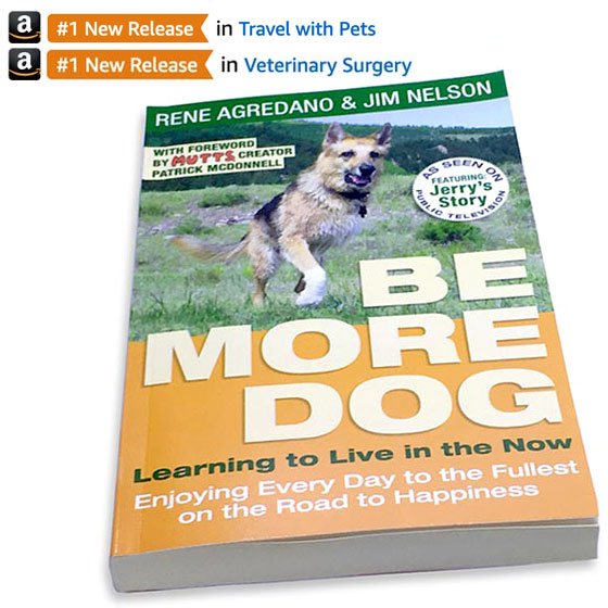 Be More Dog #1 New Release Pet Travel Book Now Available!