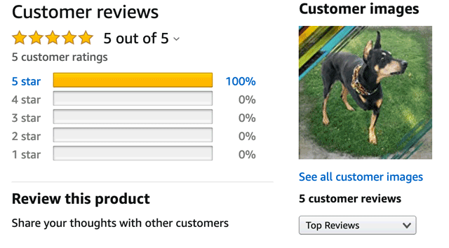 be more dog reviews