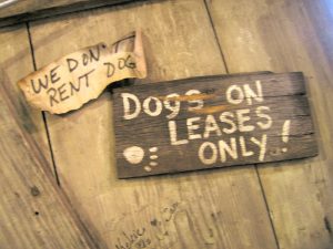 dog leases