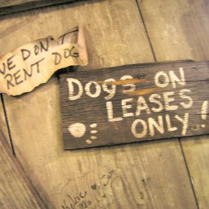 dog leases