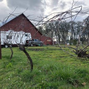 Summerfield Vineyards Harvest Hosts