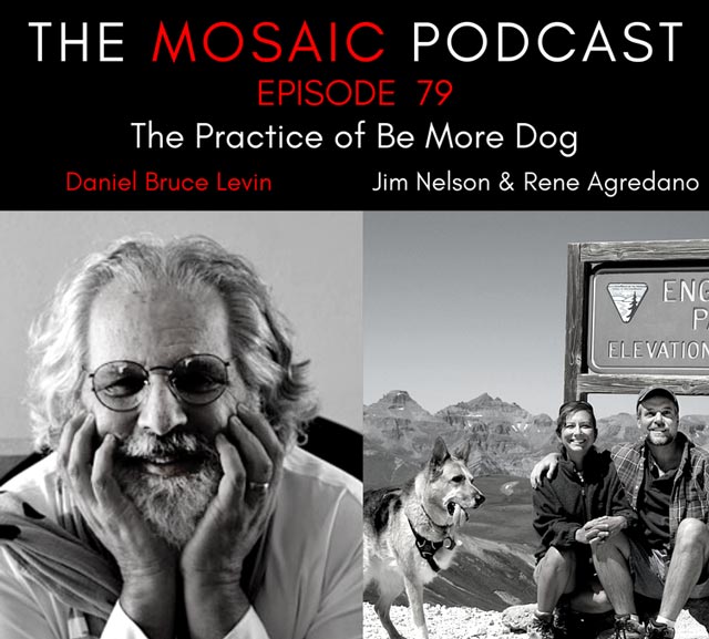 the mosaic podcast