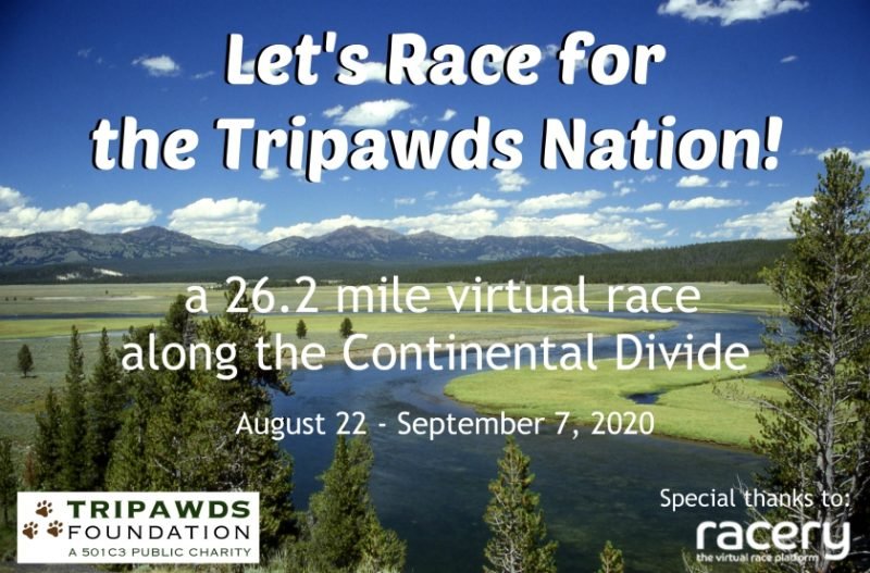 tripawds marathon