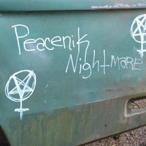 Recent or Random? RVing Photos and Ramblings peacenik nightmare