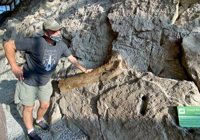 Dinosaur National Monument Photos and Trail Run Video