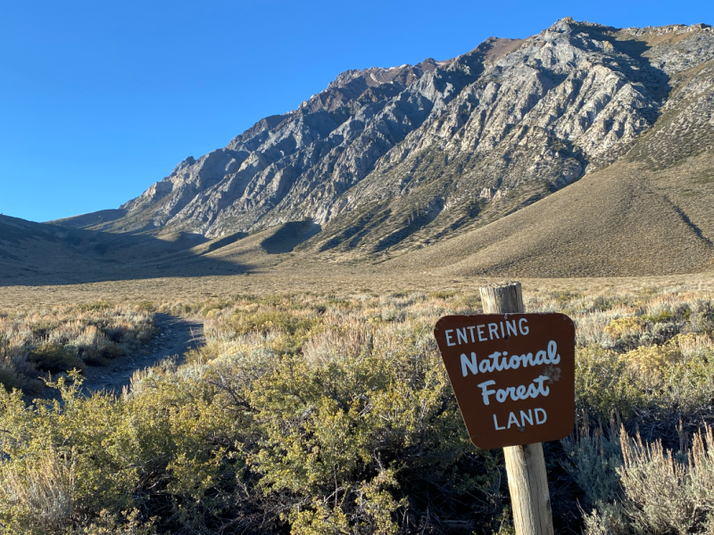 no more free camping on BLM Land