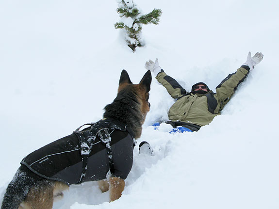 snow fun with three legged dog Wyatt
