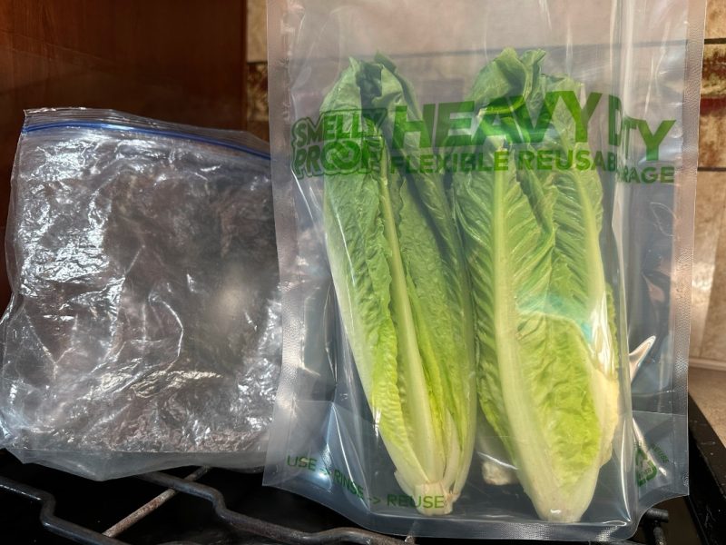 Lettuce doesn't freeze in the best RV storage bags