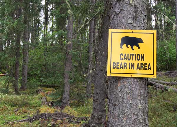 Bear warning sign while driving through Canada