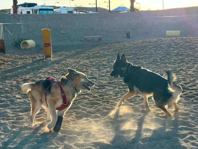 Nellie and boy-toy Thor