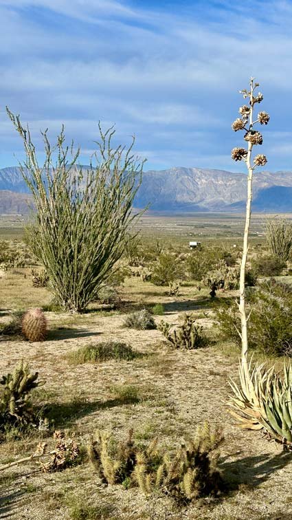 perfect boondocking spot