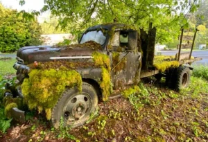 Moss Truck