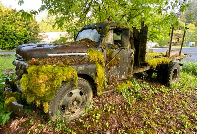 Moss Truck