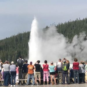 When Parents Ignore Kids at Old Faithful Old-Faithful-crowd-at-Yellowstone-National-Park
